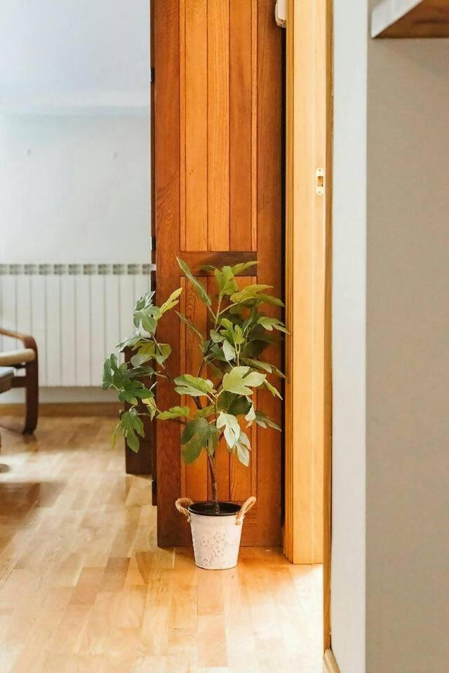 Casa Begona Wifi Sencillo Y Acogedor Sallent de Gállego Exterior foto